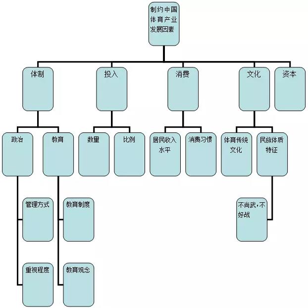 體育行業(yè)分析