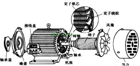 電動(dòng)機原理與結構圖,三相異步電動(dòng)機