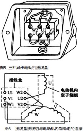 電動(dòng)機原理與結構圖,三相異步電動(dòng)機